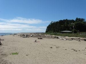 Oregon Coast