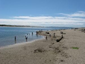 Oregon Coast