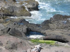 Oregon Coast