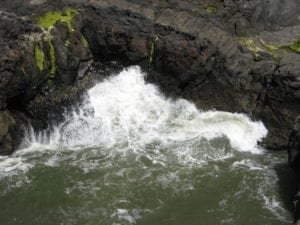 Oregon Coast